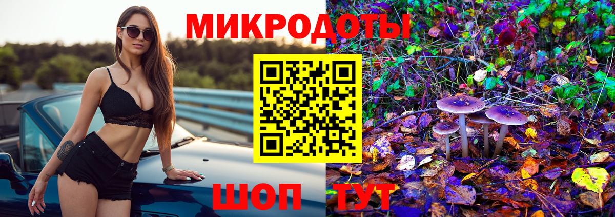 Псилоцибиновые грибы GOLDEN TEACHER Каменка