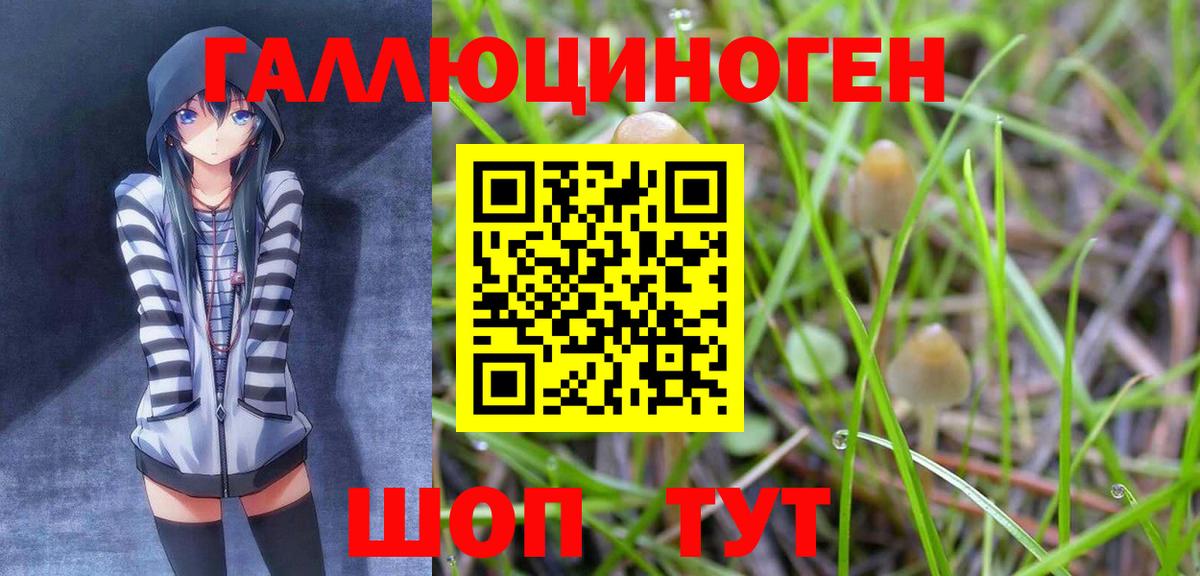 Каменка  Галлюциногенные грибы GOLDEN TEACHER  Вход с VPN 